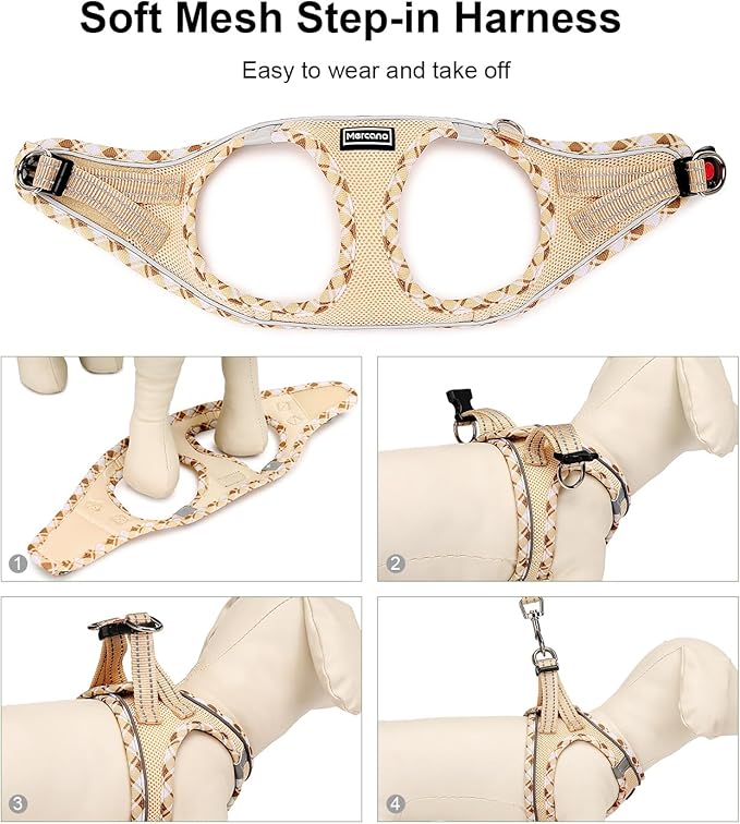 Mercano Soft Mesh Dog Harness and Leash Set, No-Chock Step-in Reflective Breathable Lightweight Easy Walk Vest Harnesses with Safety Buckle for Small Dogs, Cats (Beige, L)