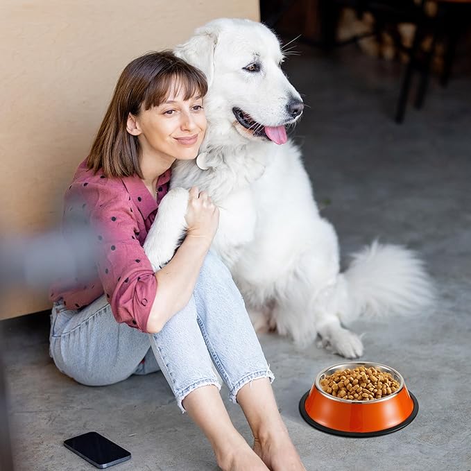 Roshtia 6 Pcs 18 oz Stainless Steel Dog Bowl, Spill Proof Dog Food Water Bowl with Anti Skid Silicone Base Stackable Pet Puppy Dishes for Medium Large Dogs Cat, Colorful