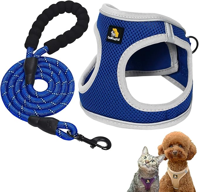 BELLA & PAL Step in Vest Harness for Small and Medium Dogs, No Pull Small Dog Harness with Leash Set, Comfortable Air Mesh Dog Vest Harness with Reflective Strip (Sapphire(Round Rope), L)