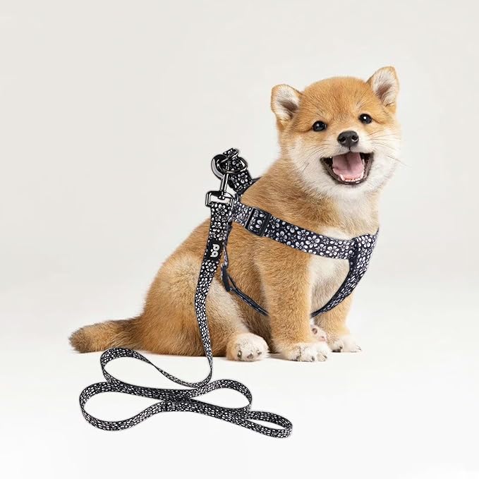QQPETS Dog Harness Leash Set Adjustable Heavy Duty No Pull Halter Harnesses for Small Medium Large Breed Dogs Back Clip Anti-Twist Perfect for Walking