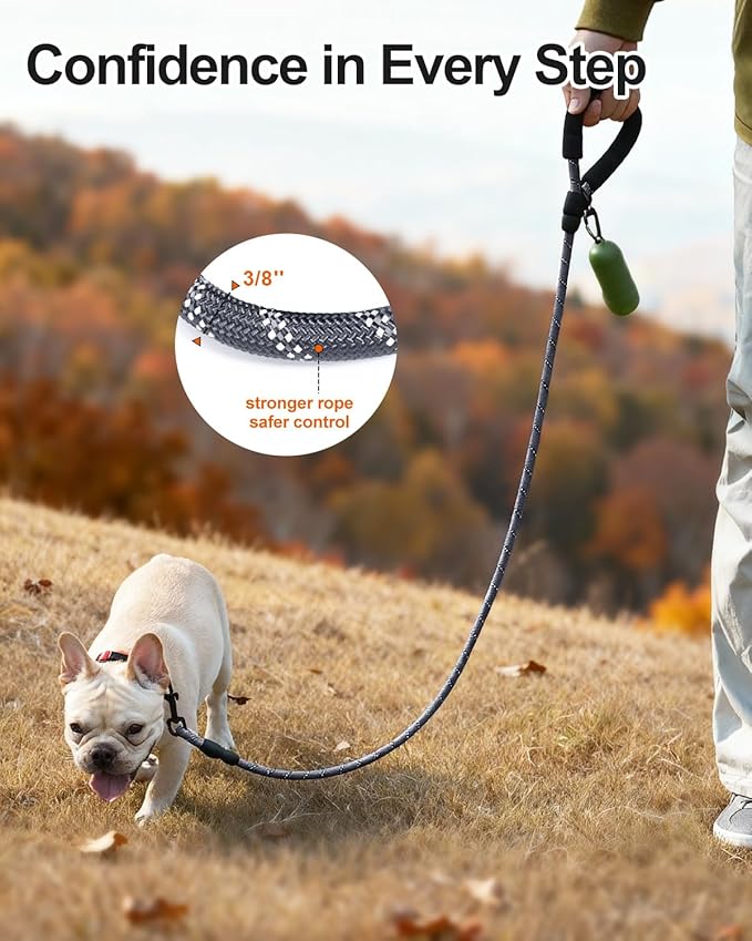 Joytale Dog Leash for Small Dogs, Heavy Duty Nylon Leashes with Comfortable Padded Handle and Highly Reflective Threads, Ideal for Walking and Training, Gray, 6'횞3/8''