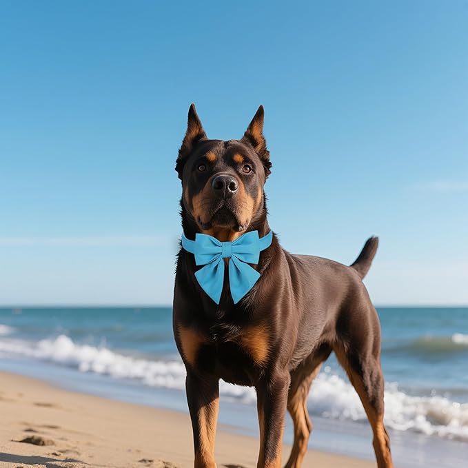 Maca Bates Sky Blue Dog Collar with Cute Solid Sailor Bow Tie for Medium Girl Boy Dogs,Adjustbale Durable Breakaway Soft Collars with Bowtie for Female Male Puppy,Pet with Metal Buckle