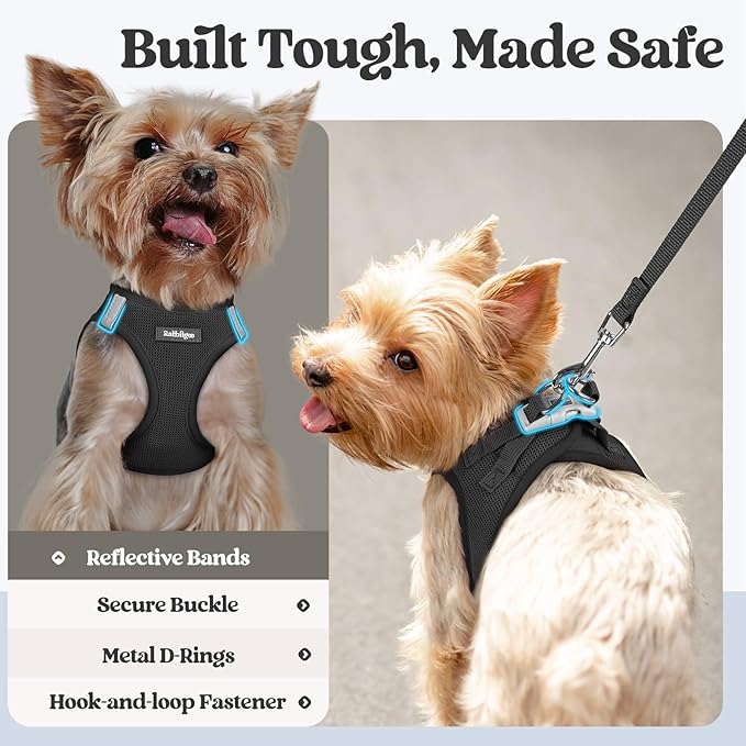 rabbitgoo Dog Harness Small Sized and Leash Set, Step in Soft Light Puppy Vest, Breathable Mesh Pet Harness, Reflective for Safe Easy Walking, Black S