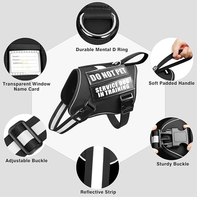 WINSEE Service Dog Harness & Leash Set, Large, Black with 10 Patches, Reflective, Adjustable, for Medium & Large Dogs
