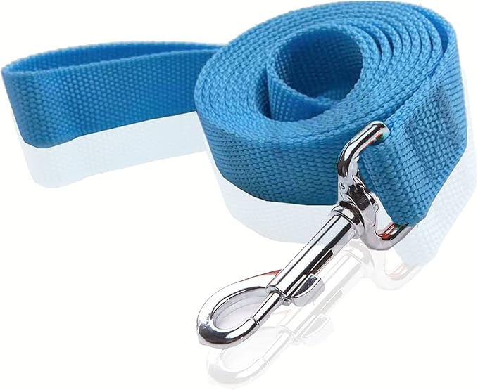 Nylon Dog Leash 16 Feet Long, Walking Training Dog Leashes for Medium Large Dogs(1" X 16 ft, Blue)