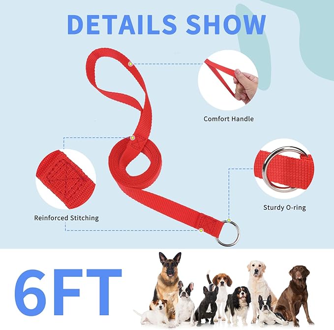 HOMIMP Slip Lead Dog Leash 6 FT- 24 PCS Bulk Colors Kennel Control Leashes for Small Medium Large Dogs Puppy Animal Rescue, Grooming - Heavy Duty Strong Nylon 6 Foot Long for Shelter, Vet, Training