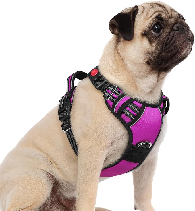 rabbitgoo Dog Harness Small Sized, No Pull Dog Vest with 3 Buckles, Adjustable Soft Padded Pet Harness with Easy Control Handle and Reflective Strips, Purple, S