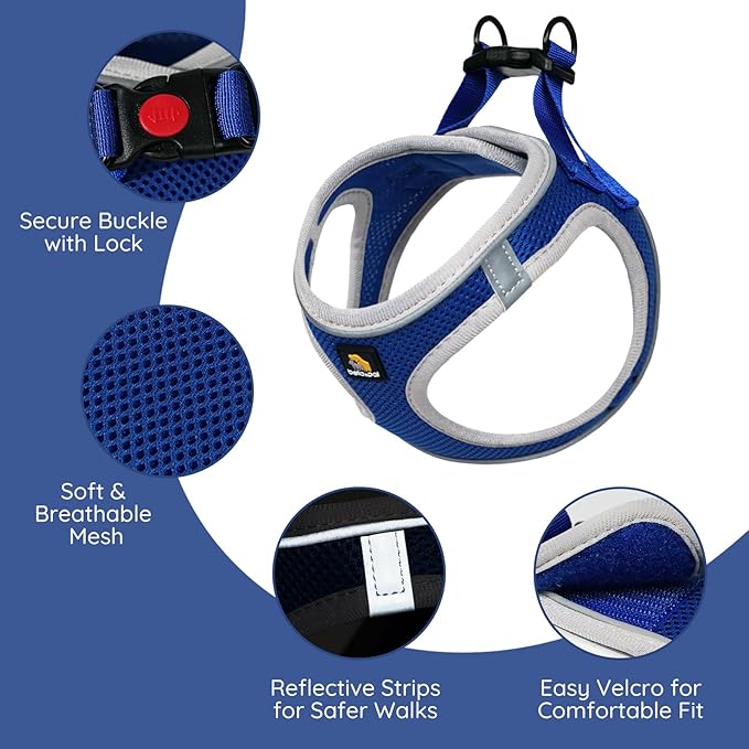BELLA & PAL Step in Vest Harness for Small and Medium Dogs, No Pull Small Dog Harness with Leash Set, Comfortable Air Mesh Dog Vest Harness with Reflective Strip (Sapphire(Round Rope), L)