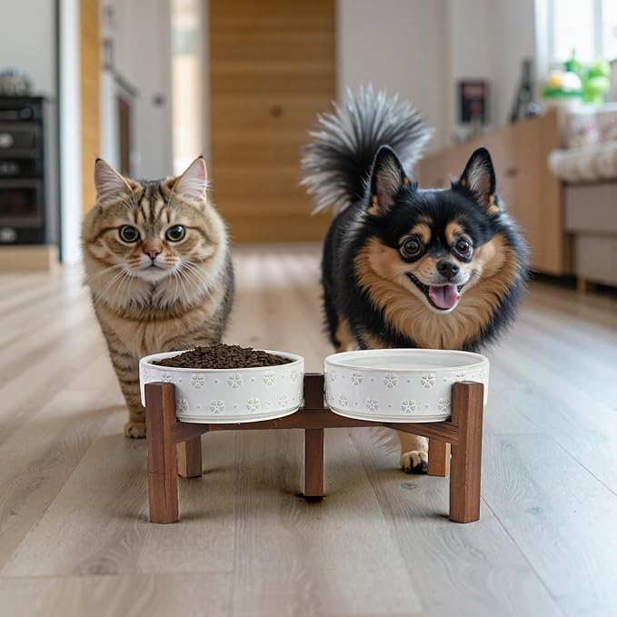 SPUNKYJUNKY Ceramic Dog Bowl Set with Acacia Wood Stand Raised for Small Medium Sized Dog (Shallow, 15.5cm)