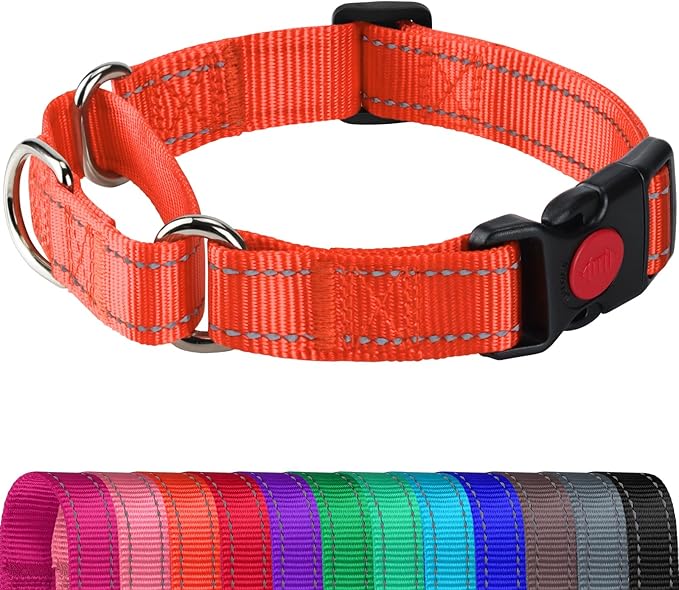 Joytale Martingale Collar for Dogs, Reflective Heavy Duty for Safety, Quick Release Buckle, Adjustable Nylon Collars for Medium Dogs Walking Training, Orange,M