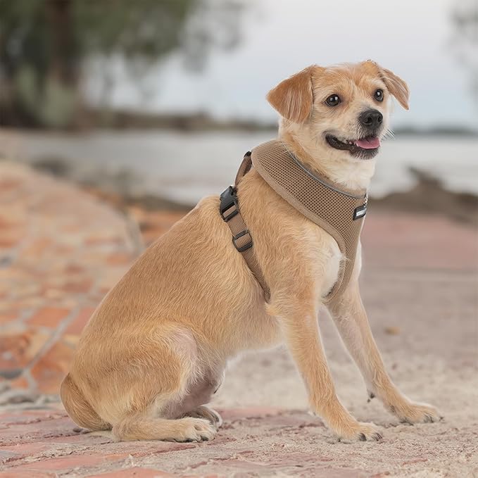 Voyager Aerolite Over The Head Dog Harness, No Pull Breathable Air Mesh Vest, Quick Dry with Reflective Stitching, Adjustable Escape Resistant Harness for Small Medium Large Dogs - Beige, X-Large