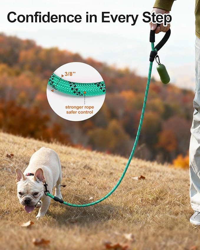 Joytale Dog Leash for Small Dogs, Heavy Duty Nylon Leashes with Comfortable Padded Handle and Highly Reflective Threads, Ideal for Walking and Training, Teal, 6'횞3/8''