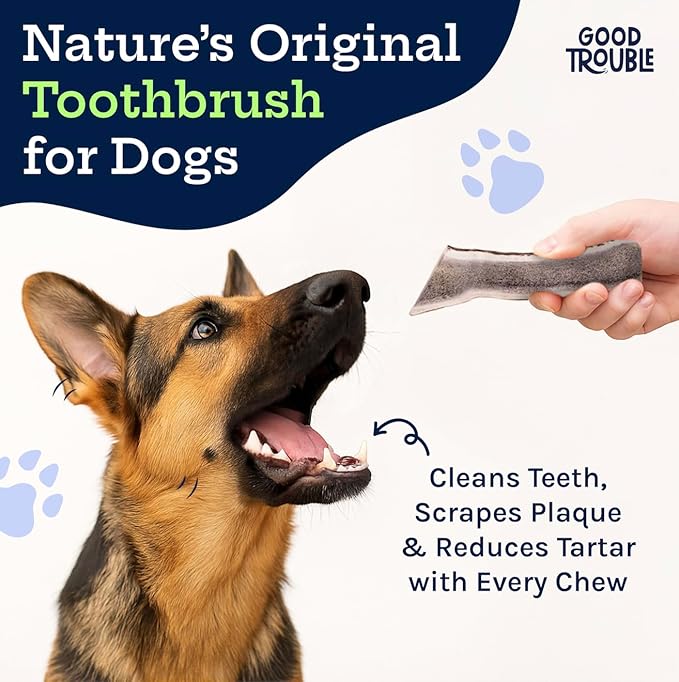 Good Trouble Premium Elk Antlers for Small Dogs – 1 Pack Split - All-Natural, Shed Antler Chews for Dental Health & Calming - Durable Dog Bones - Cruelty-Free, North American Sourced