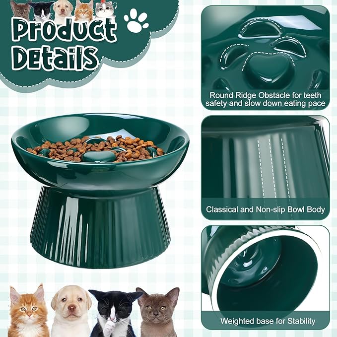 Tioncy 2 Pcs Raised Cat Slow Feeder Bowl Ceramic Elevated Cat Dog Food Bowl No Spill High Edge for Dry Wet Food and Water Easy to Clean, Dishwasher Safe (Dark Green,Blue)