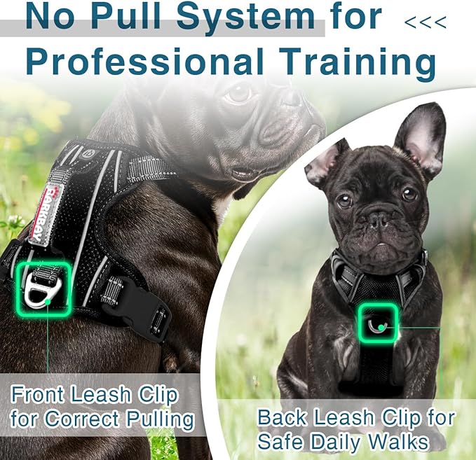 BARKBAY Dog Harness No Pull with ID Tag Pocket - Heavy Duty, Reflective, Easy Control for Large Dogs(Black,XS)