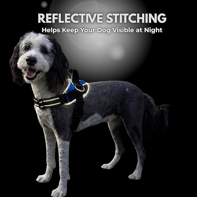 ShawnCo Essential Dog Harness, No-Pull Pet Vest with 3 Leash Clips, No Choke, Reflective, Adjustable and Padded, for Easy Walking and Training for Small, Medium and Large Dogs (Dark Camo, XS)