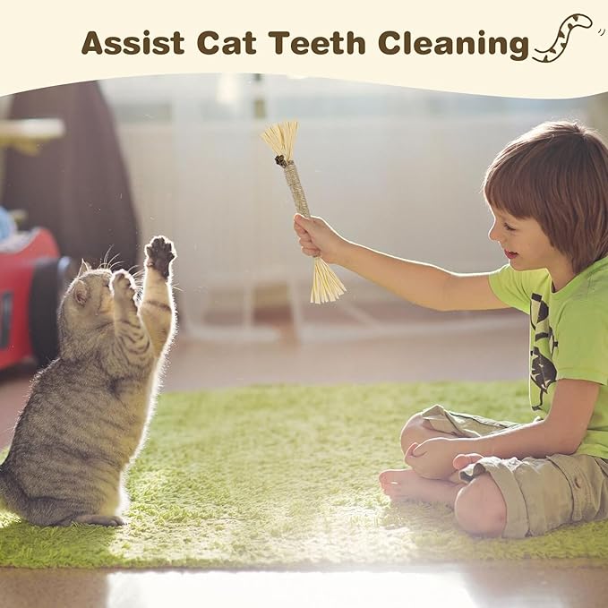 4 Pack Silvervine Sticks for Cats - Cat Chew Toy for Teeth Cleaning, Edible Matatabi Kitty Chew Sticks, Catnip Cat Toys for Indoor Cats (8 Sticks)
