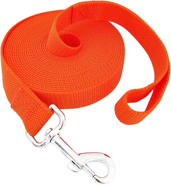 SALO Nylon Training Dog Leash for Small Medium Large Dogs, 1 Inch Wide, 20ft 30ft 40ft 50ft Long Leash Dog/Puppy Lead for Obedience Recall Training, Camping, or Backyard (Orange, 15 Foot)