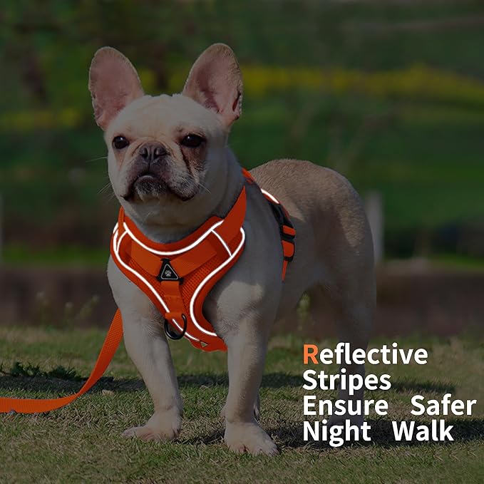 No Pull Dog Harness with Leash Set for Small Sized Dog, Reflective Adjustable No Choke Front Clip Cat Vest Harness with Breathable Mesh, Comfortable Soft Padded Pet Vest, Orange S