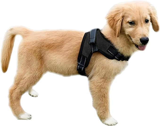 No Pull Reflective Adjustable Dog Harness With Handle- Comfortable Soft All Weather Mesh, Easy On Puppy Harness For Small Medium and Large Dogs (Black) Medium