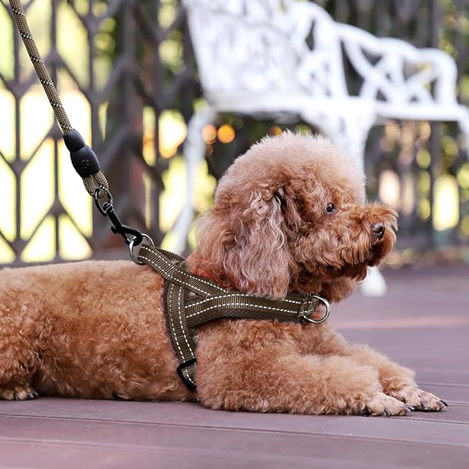 Plutus Pet No Pull Dog Harness with Breathable Mesh Padded, Adjustable Reflective Escape Proof Dog Harness, Quick Fit Dog Vest Harness for Small Medium Large Dogs(XXS, Chocolate)