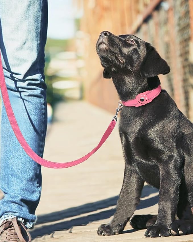 Reflective Dog Leash 6ft Soft Padded Handle Nylon Lead for Small & Medium Dogs, Durable Walking Training Leash for Night Safety (Neon Pink,3/4Inch Wide)