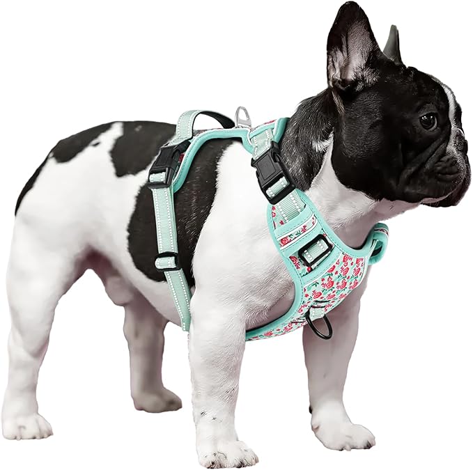 Timos Dog Harness, 3 Snap Buckles No-Pull Soft Padded Dog Vest with 2 Metal Leash Clips,Adjustable Reflective No Choke Pet Harness with Easy Control Handle for Small Dogs,Cyan,S