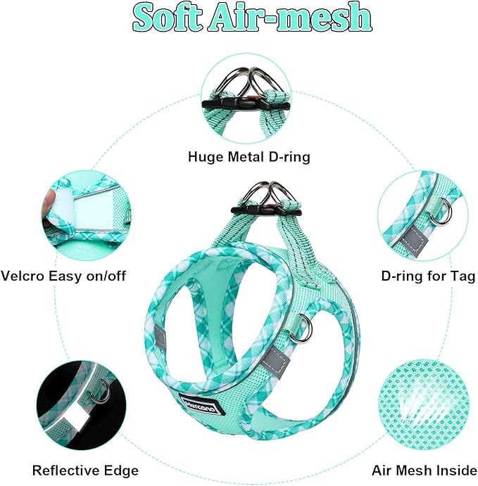 Mercano Soft Mesh Dog Harness and Leash Set, No-Chock Step-in Reflective Breathable Lightweight Easy Walk Vest Harnesses with Safety Buckle for Small Dogs, Cats (Light Green, XL)