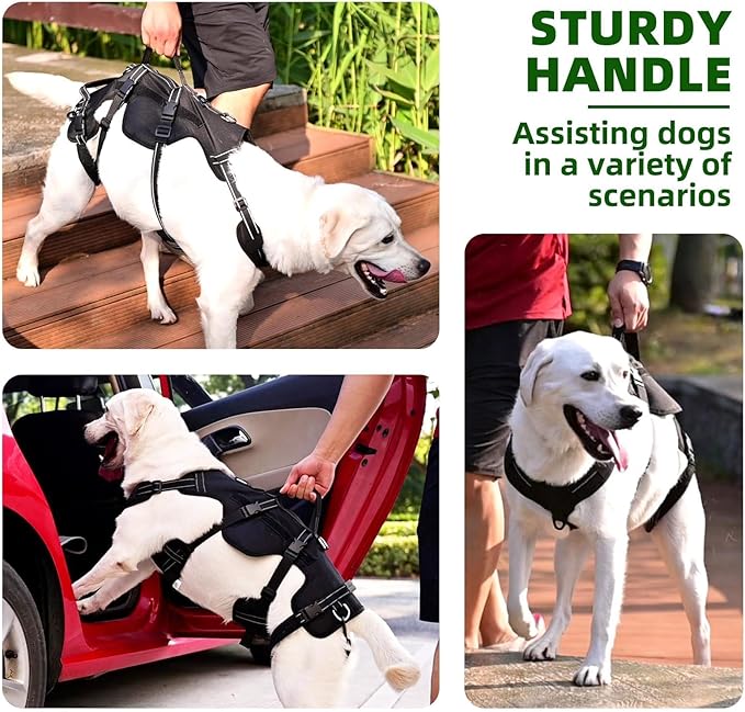 PUPTECK Dog Lift Harness for Medium Large Sized Dog, Rehabilitation Sling for Hind Leg Support, Multifunctional Mobility Assistance Harness for Old, Disabled, Joint Injuries, Paralysis Dogs, Black M