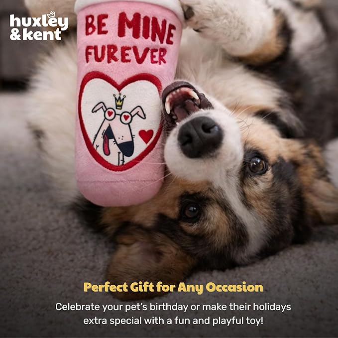 Huxley & Kent Funny Dog Toy w/Squeaker – Valentine's Day Power Plush Squeaky Dog Toys for Small, Medium & Large Dogs – Soft Stuffed Animal for Indoor Play & Fetch - Be Mine Furever Latte, Small