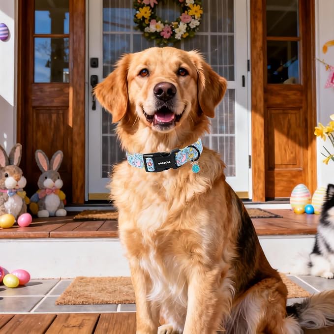 DOGWONG Easter Dog Collar-Cute Blue Easter Bunny Dog Collar, Easter Egg &Rabbit Pet Collars Puppy Collar Gifts with Quick Release Buckle for Girl&Boy Dogs,S
