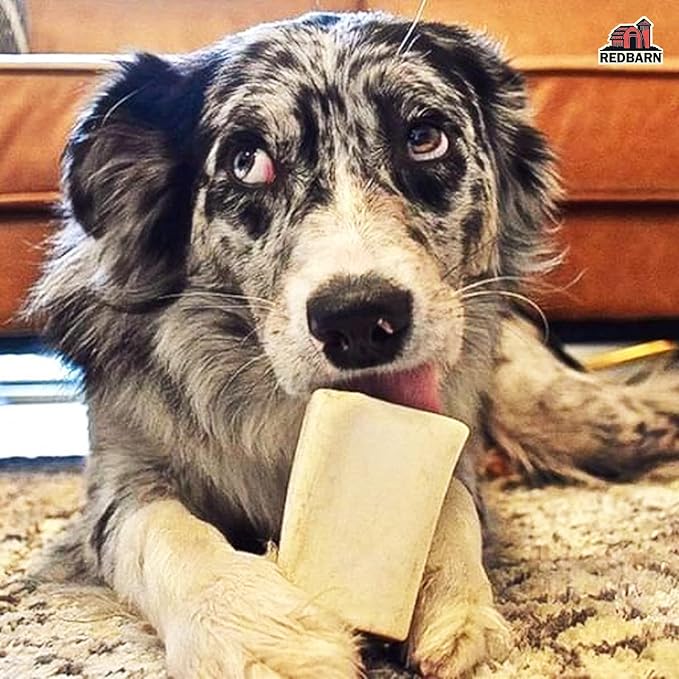 Redbarn Pet Products Large Filled Dog Bones, Cheese & Bacon Flavor - Long Lasting Stuffed Femur Chew Treat Made in USA - 4 Count - Packaging May Vary