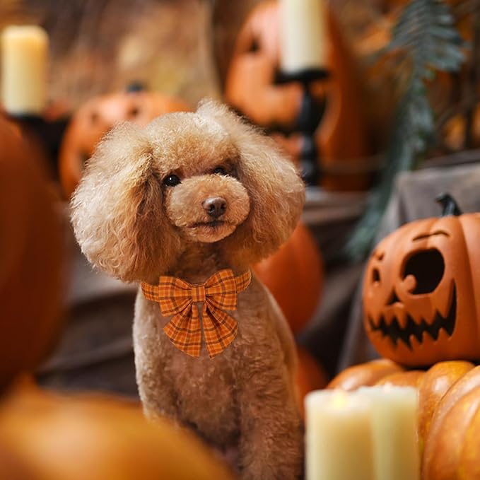 Maca Bates Fall Pumpkin Plaid Dog Collar with Sailor Bow Tie for Extra Small Girl,Boy,Autumn Checkered Puppy Collars with Bowtie,Halloween Gingham Print Adjustable Breakaway Soft for Male Female Dogs