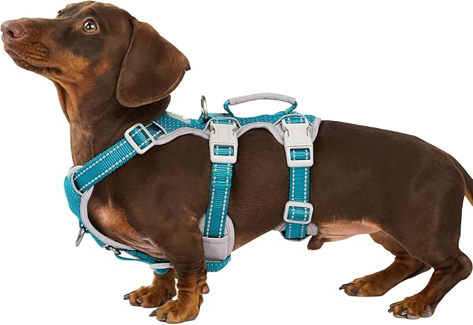 Huntboo Escape Proof Dog Harness, Escape Artist Harness, Fully Reflective Harness with Padded Handle, Breathable, Durable, Adjustable Vest for Small Dogs Walking, Training, and Running Gear (Teal,S)