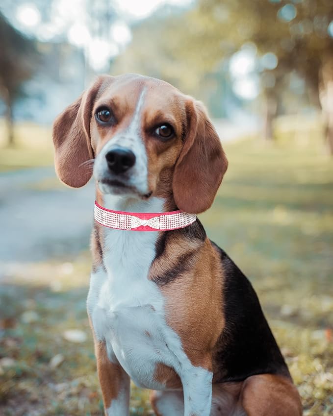 Bling Dog Collar for Small Medium Large Dogs, Crown Rhinestone Dog Collars for Girl and boy Dog, Diamond Puppy Collars, Adjustable Leather Suede SOFE Cat Collar (XS(8.2"-10.6"/21CM-27CM), Purple2)