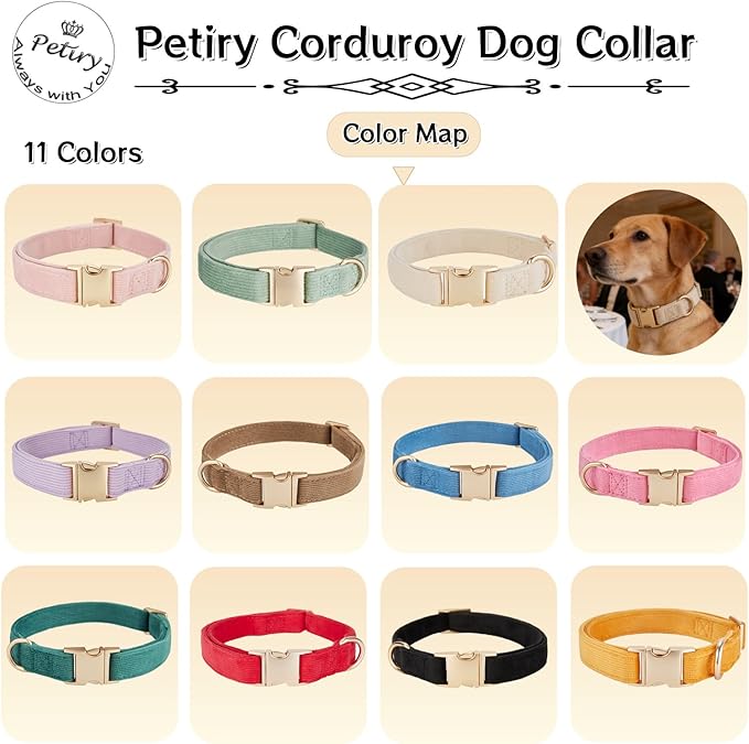 Soft Corduroy Fibric Dog Collar with High Grade Metal Buckle, for Medium Dogs.(Orange,Medium:12-19")