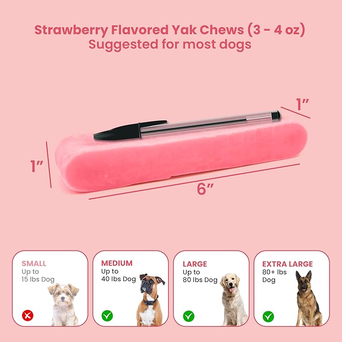 KATHMANDU'S 100% Natural Strawberry Flavored Yak Chews – Keep Dogs Busy & Happy with our Lactose&Rawhide Free Himalayan Dog Chews - Long Lasting Dental Treats for Aggressive Chewers (Large, Pack of 4)