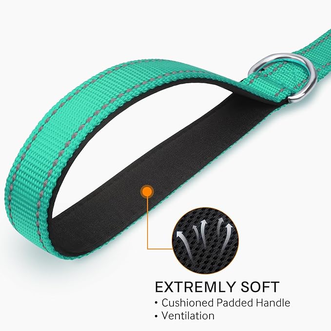 Joytale Dog Leash Heavy Duty for Small Medium Medium Dogs, 6 FT Reflective Nylon Pet Walking Lead with Soft Padded Handle, Durable & Tangle Free for Training, Running & Safety Control, Teal