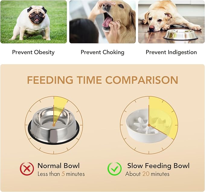 Ceramic 1.2 Cup Raised Slow Feeder Dog Bowl Set, Elevated 6.1inch Bowl and 7.3inch Slow Feeder Dish with Acacia Wood Stand for Small and Medium Dogs (2 x Reactived Glaze -White+ Stand)