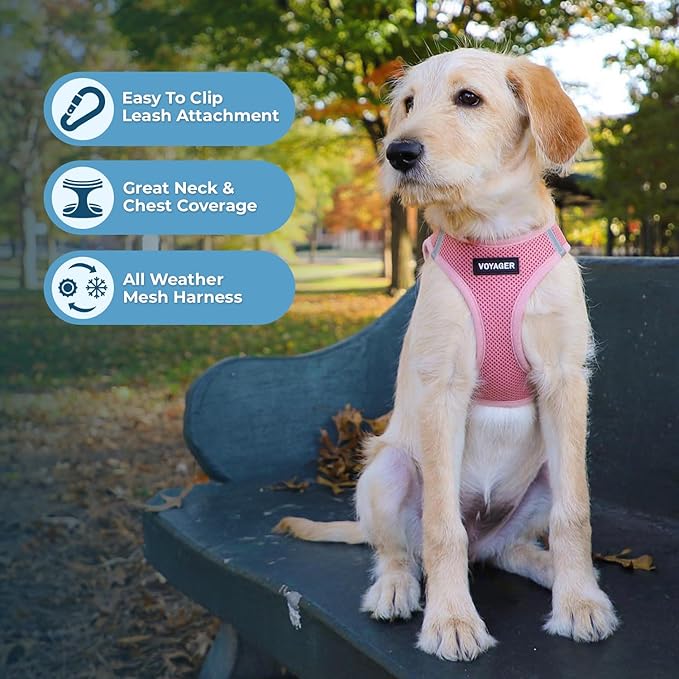 Best Pet Supplies Voyager Step-in Air Harness - All Weather Mesh, Reflective, No Pull Harness for Dogs, Cats - Secure with Hook & Loop Fastener, Buckle, Double D-Rings - Pink, S