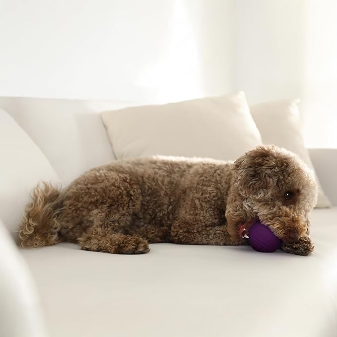 Playology Dog Toys | Dual Layer Ball Durable Chew Toy for Aggressive Chewers | Medium Bacon Scented Toy - Easy to Clean and Made from Non Toxic Materials