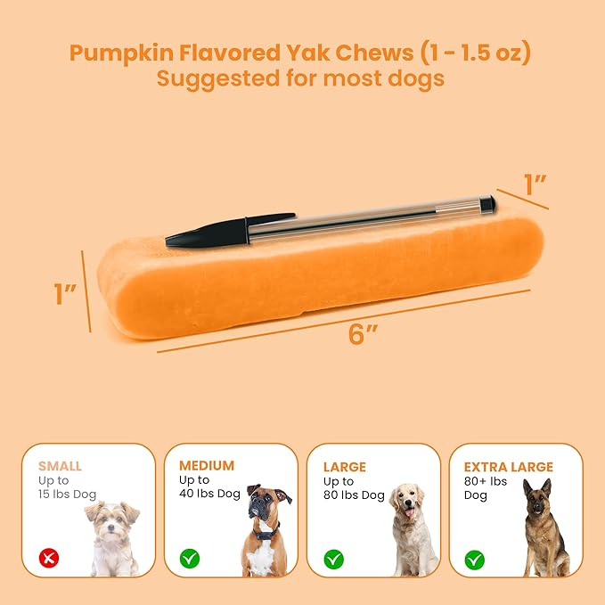 KATHMANDU'S 100% Natural Pumpkin Flavored Yak Chews – Keep Dogs Busy & Happy with Our Lactose&Rawhide Free Himalayan Dog Chews - Long Lasting Dental Treats for Aggressive Chewers (Large, Pack of 4)