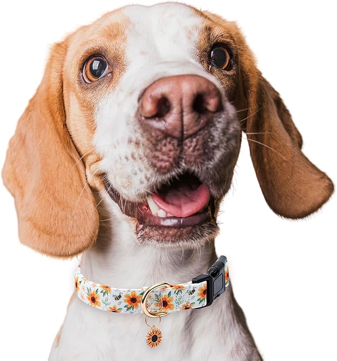 Cotton Dog Collar,Adjustable Cute Puppy Collar with Moon Patterned Design for Small Medium Large Dogs,Soft and Fancy Pet Collar with Safety Buckle for Girl Boy Dogs (Yellow Sunflower, Medium)
