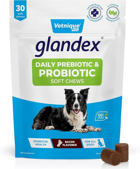 Vetnique Glandex Daily Probiotics for Dogs with Prebiotics to Support Gut Health with Fiber and Digestive Enzymes, Dog Probiotic Chews or Powders (30ct Chews, Bacon Chews)