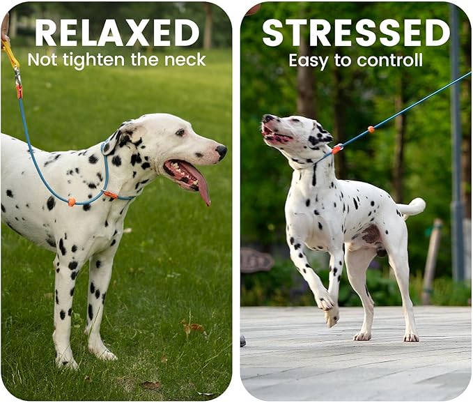 HowGo Slip Lead Dog Leash with Double Handles | Reflective Dog Training Leash with 360° Swivel Anti-Tangle | Heavy-Duty Lead and Collar for Large Medium and Small, No-Pull Walking (Lavender, 5.5FT)