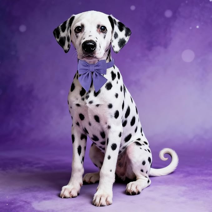 Maca Bates Purple Dog Collar with Cute Petunia Solid Sailor Bow Tie,Small Girl Boy Dogs,Girly Adjustbale Durable Breakaway Soft Collars with Bowtie for Female Male Puppy,Pet with Metal Buckle