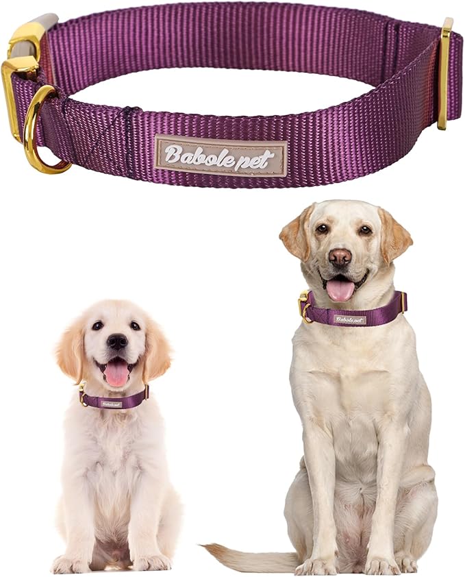 Nylon Dog Collar - Adjustable Deep Purple Soft Webbing Dog Collars for Small Medium Large Dogs Boy Girl Puppy Collar with Safety Metal Buckle XS
