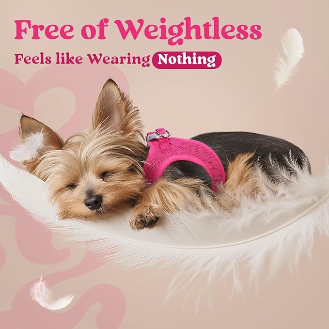 rabbitgoo Small Dog Harness, Step-in Soft Mesh Puppy Vest with Safety Buckle, Breathable Reflective Pet Harness for Extra Small Dogs, Rose Red XXXS
