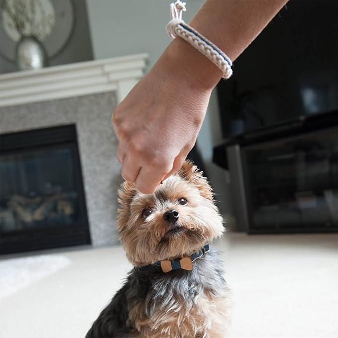 Pettsie Adjustable Dog Bow Tie Collar with Matching Owner Friendship Bracelet – Stylish & Durable Pet Accessory, Soft Hemp & Cotton, Secure D-Ring, Gift-Ready Set, Small, Blue