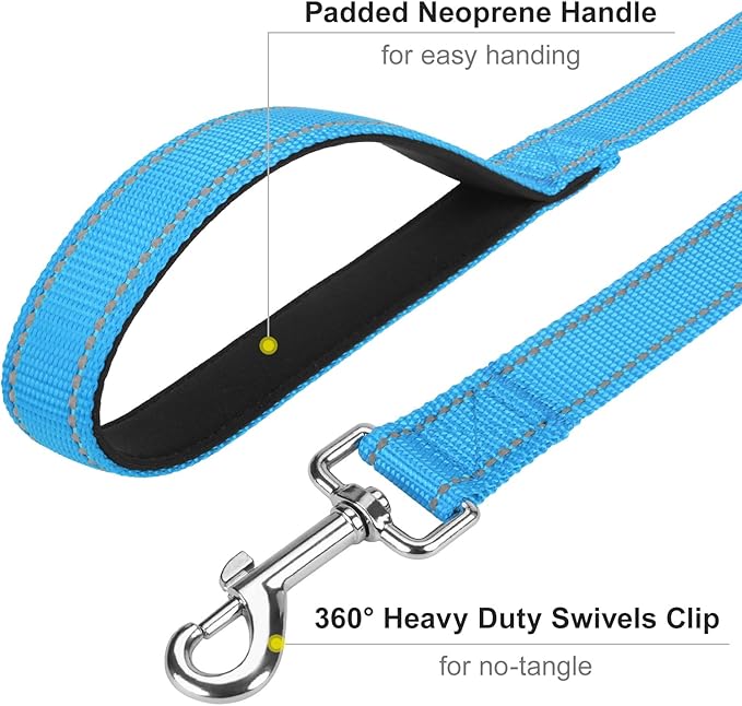 Reflective Dog Leash 4ft Soft Padded Handle Nylon Lead for Small & Medium Dogs, Durable Walking Training Leash for Night Safety (SkyBlue,1Inch Wide)